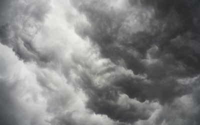 Rak­kau­des­ta lajiin ‑mar­ras­kuun har­mau­des­ta huo­li­mat­ta