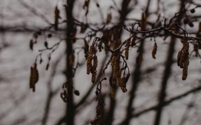Kes­tä­vät­kö kun­nat ja kun­ta­ta­lous nyky­me­noa?