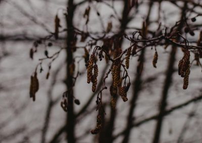 Kes­tä­vät­kö kun­nat ja kun­ta­ta­lous nyky­me­noa?